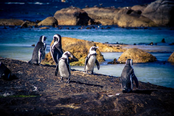 capetown_day1-5_-39-von-75