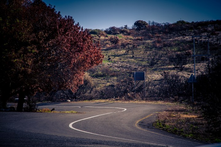 capetown_day1-5_-51-von-75