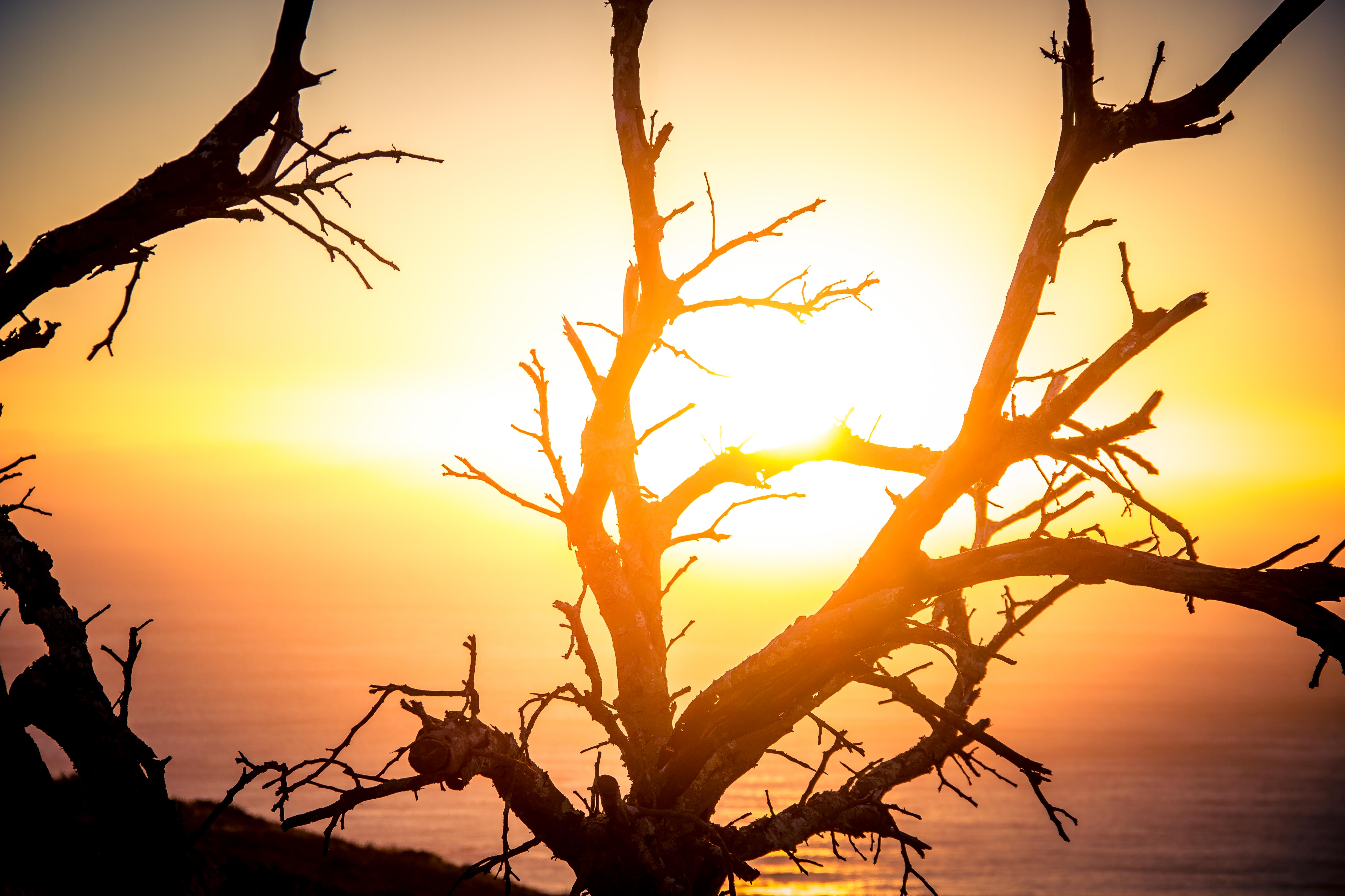 capetown_day1-5_-61-von-75