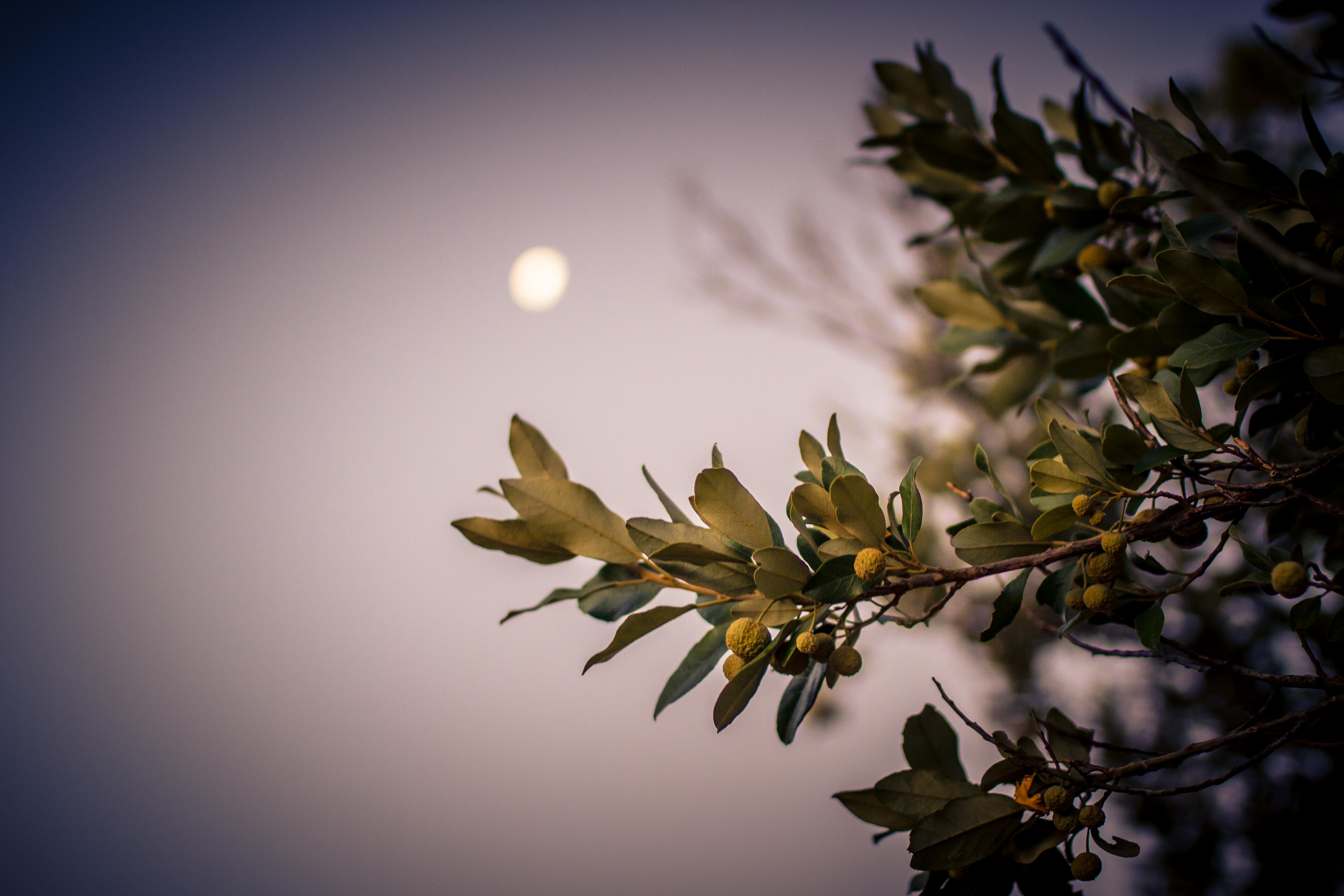 capetown_day1-5_-74-von-75