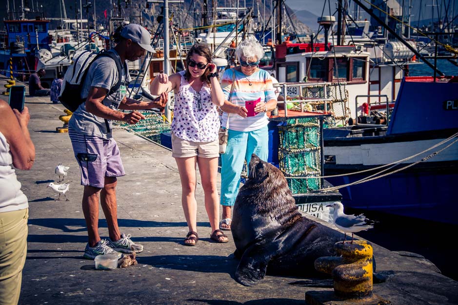 capetown_day6-7_-6-von-30