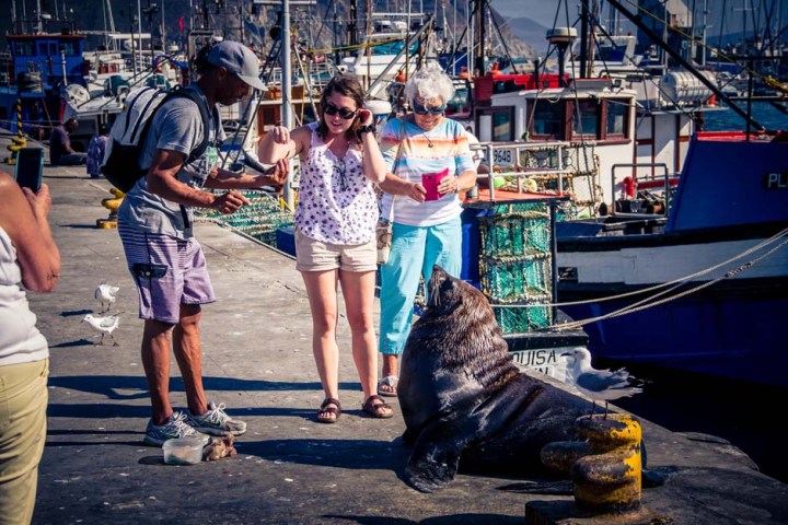 capetown_day6-7_-6-von-30