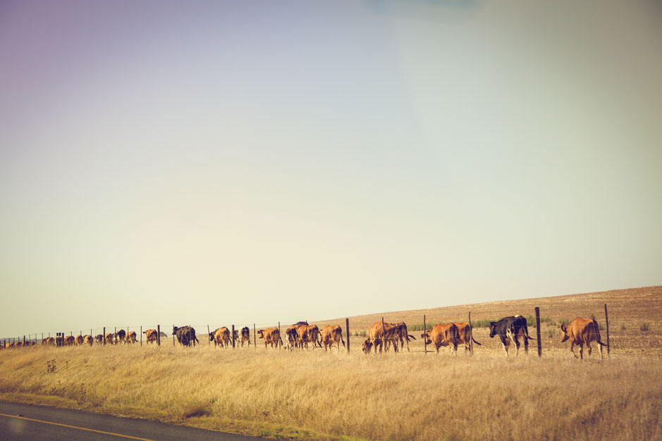 cpt-tag_10-12-10-von-29