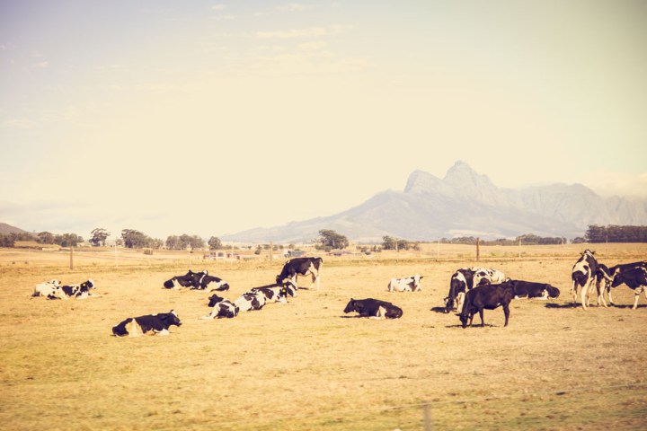 cpt-tag_10-12-14-von-29