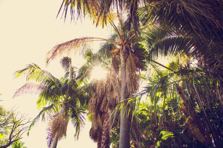 cpt-tag_10-12-4-von-29