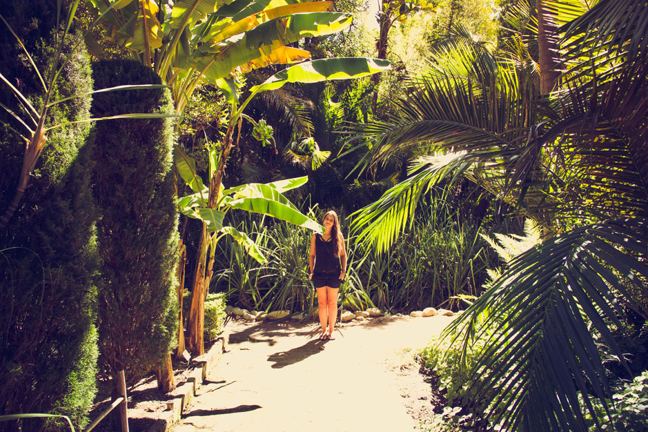 cpt-tag_10-12-5-von-29