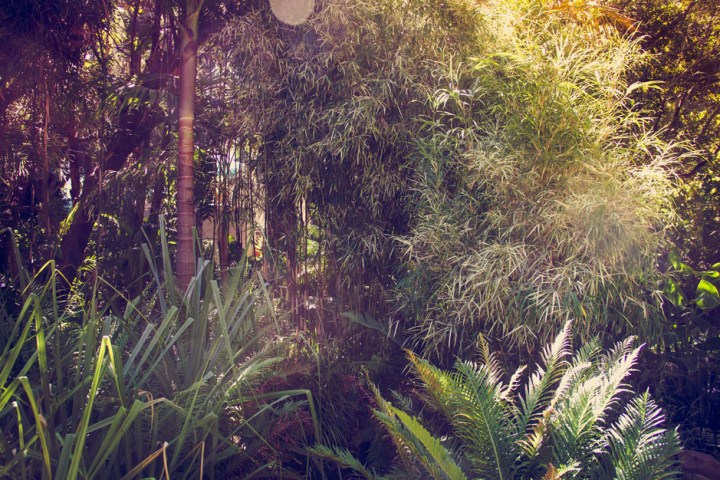 cpt-tag_10-12-7-von-29