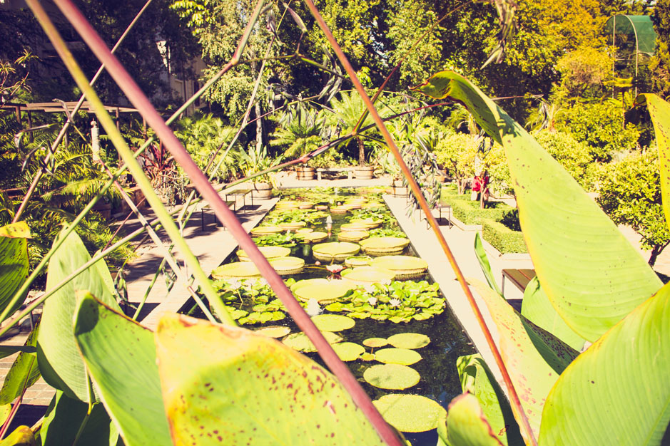 cpt-tag_10-12-8-von-29