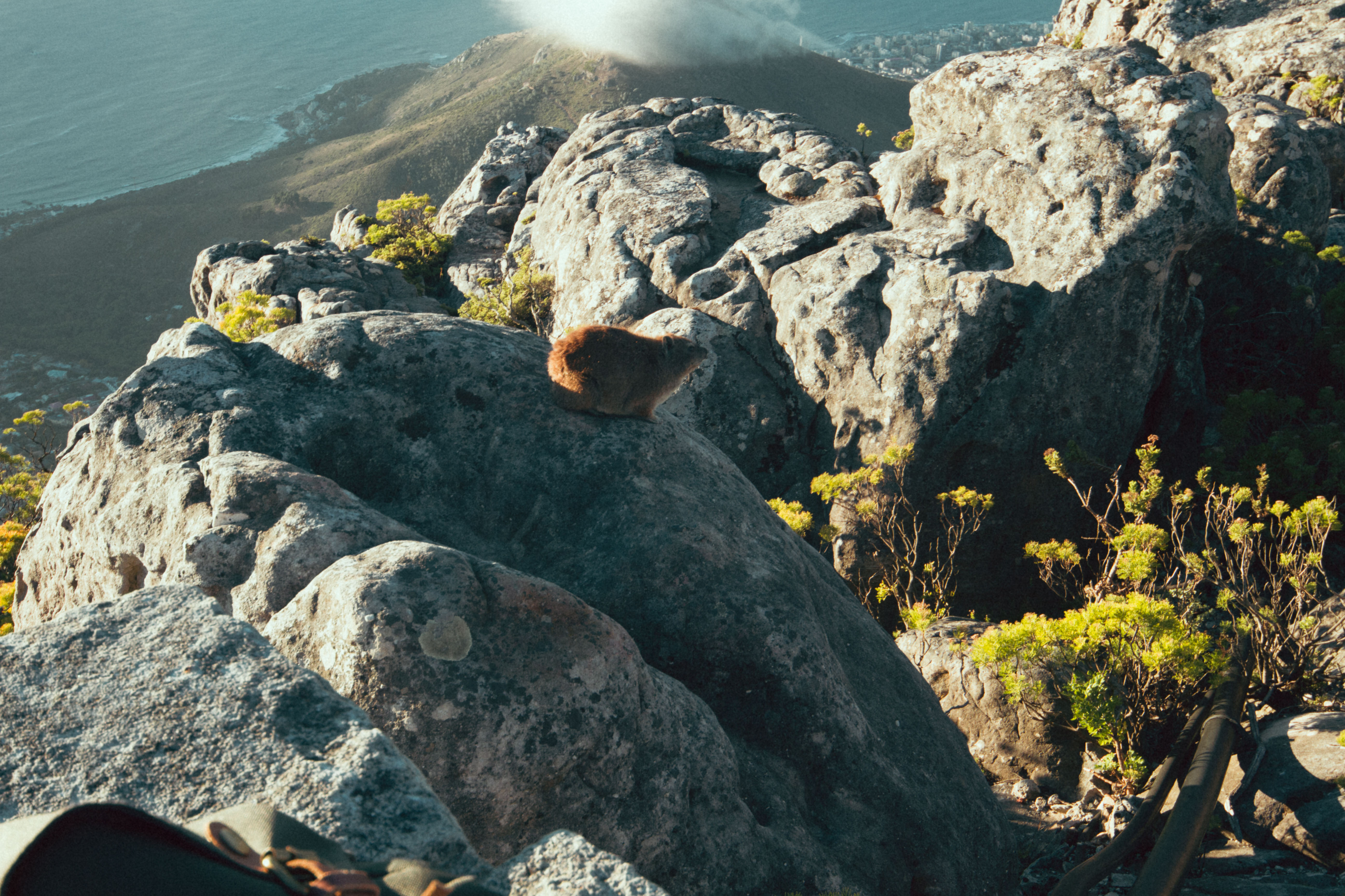 2017-03-02_TableMountain-14