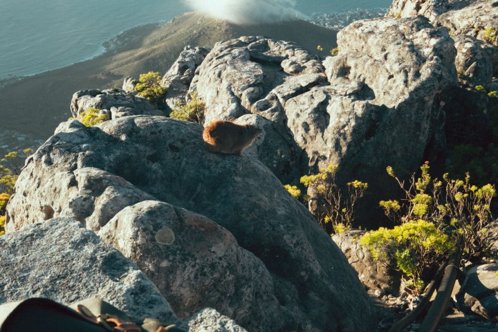 2017-03-02_TableMountain-14