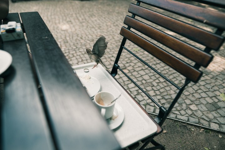 2017-05-30-31_Berlin-34