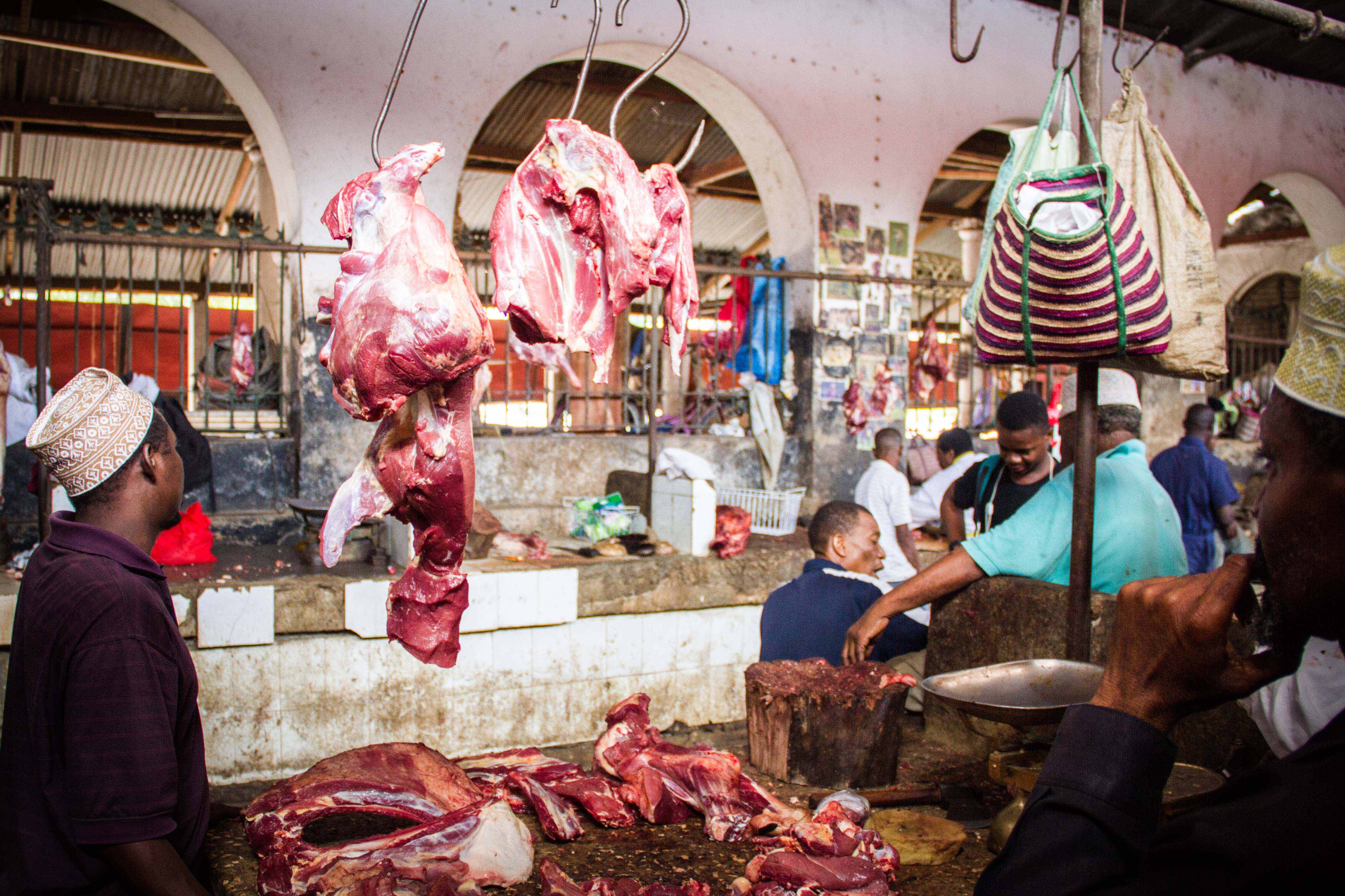 Zanzibar- (106 von 165)