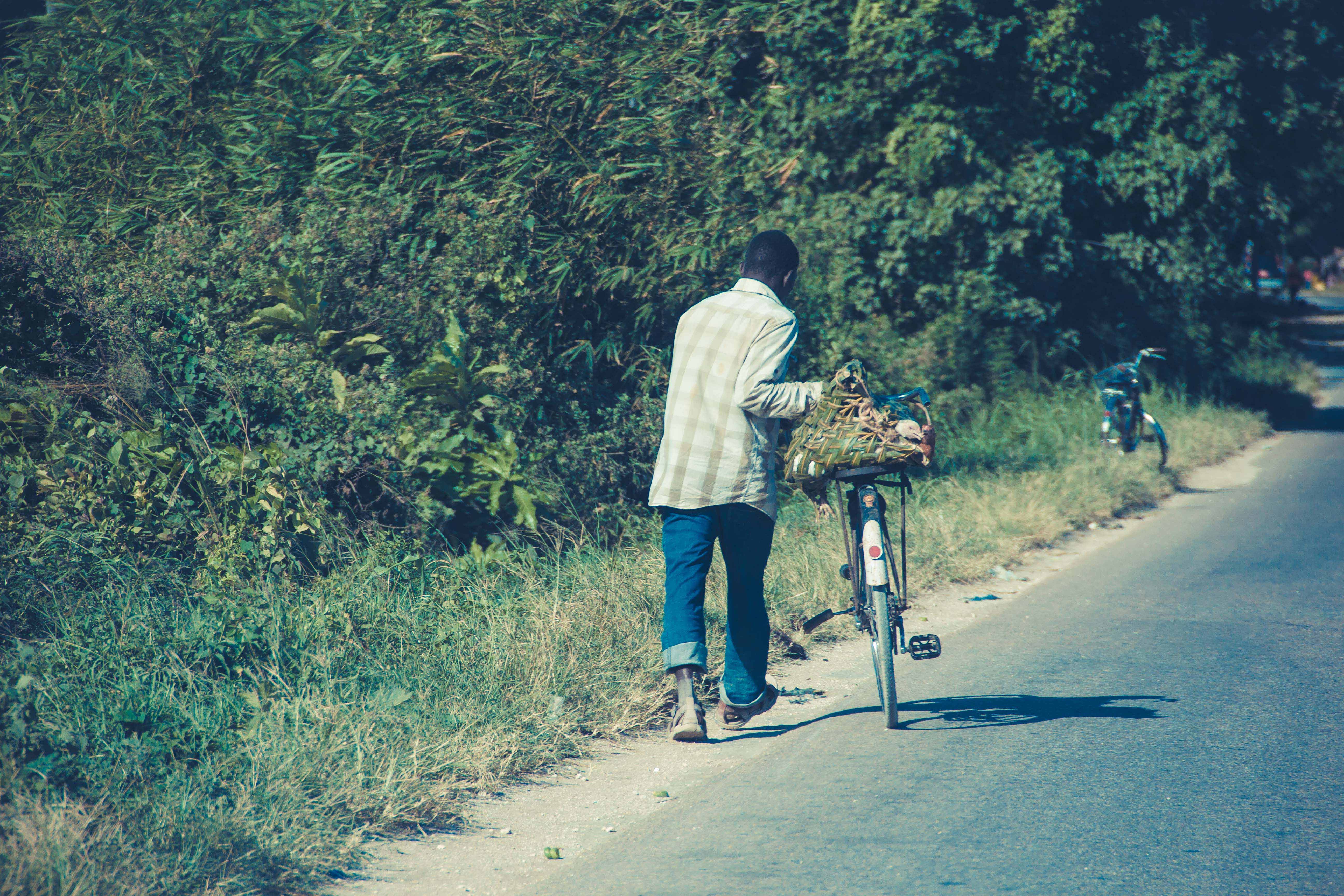 Zanzibar- (11 von 165)