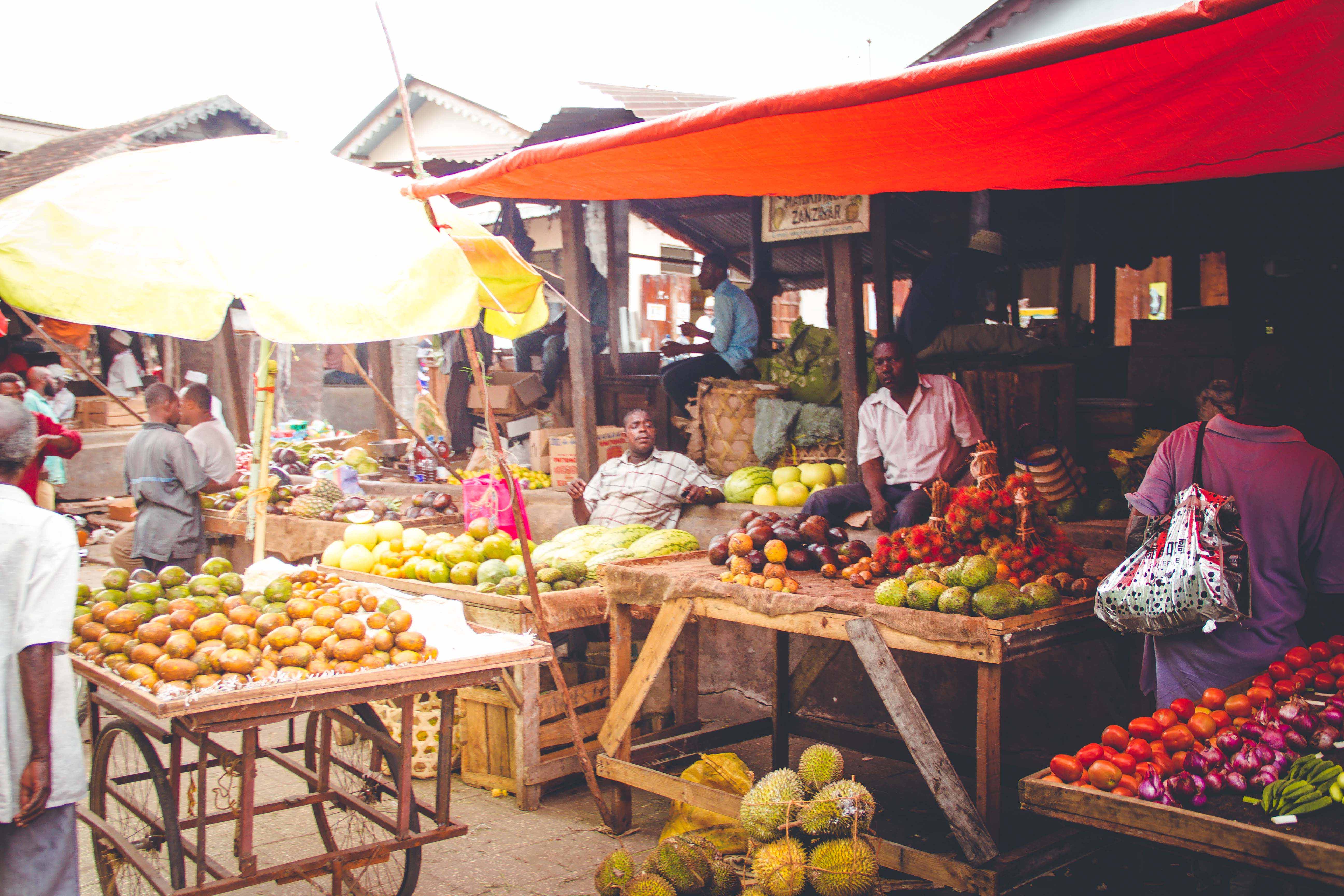 Zanzibar- (110 von 165)