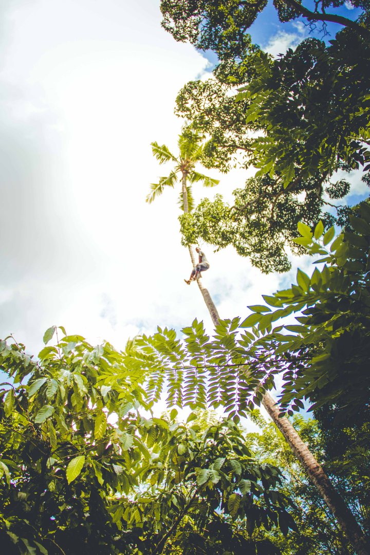 Zanzibar- (127 von 165)