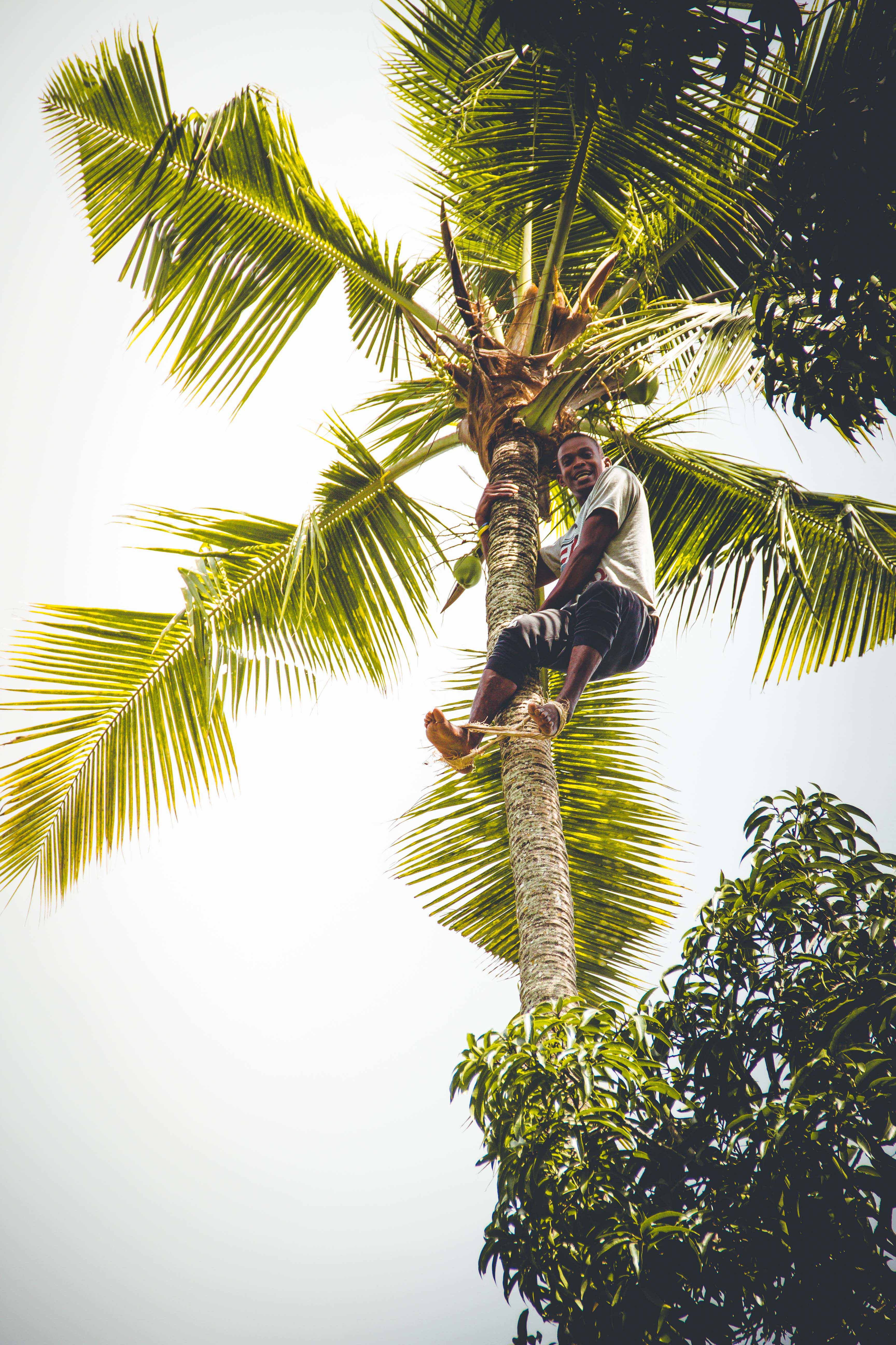 Zanzibar- (128 von 165)