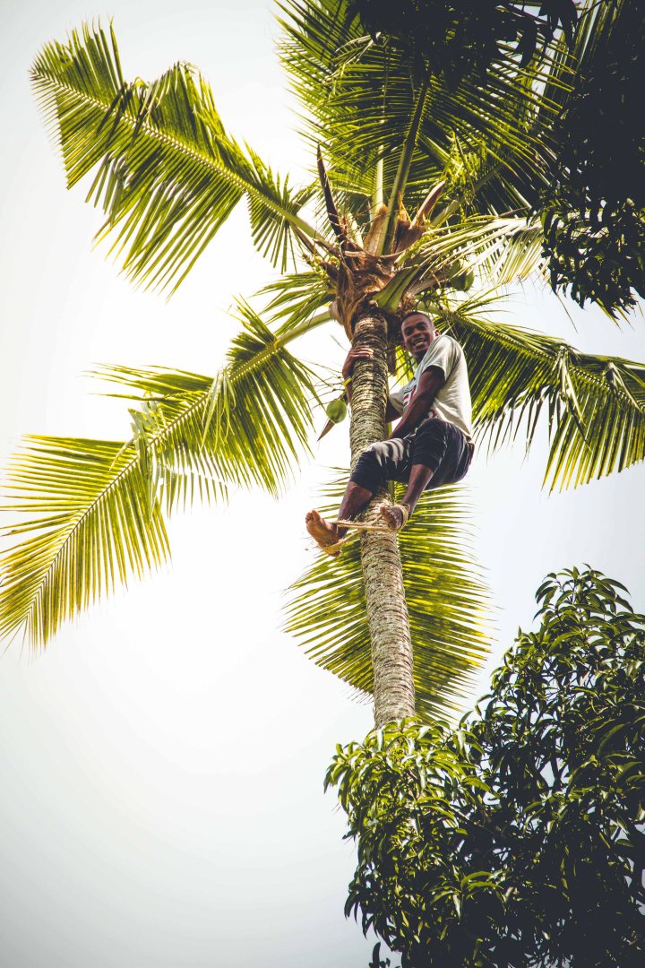 Zanzibar- (128 von 165)