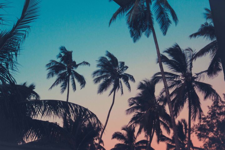 Zanzibar- (140 von 165)