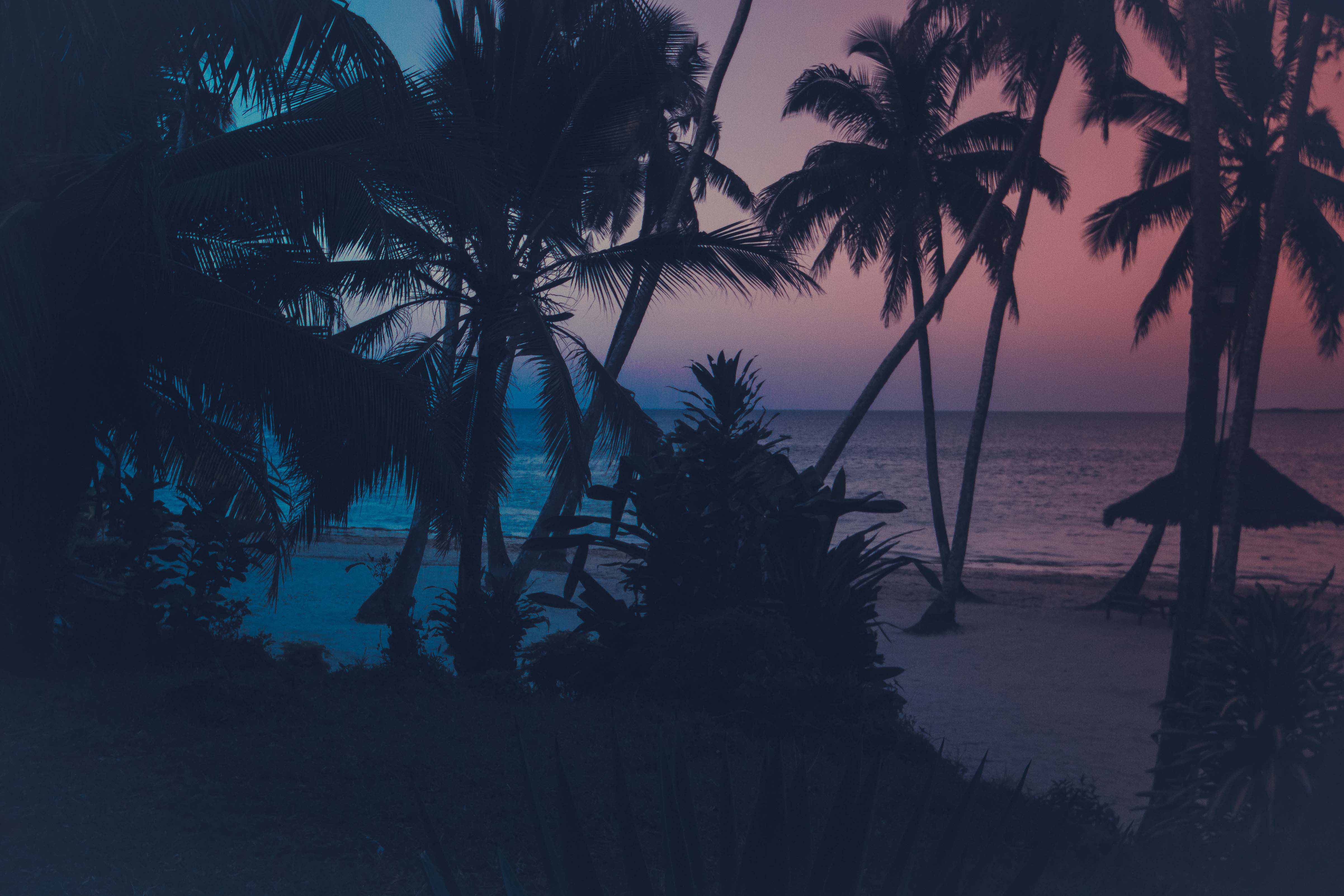 Zanzibar- (141 von 165)