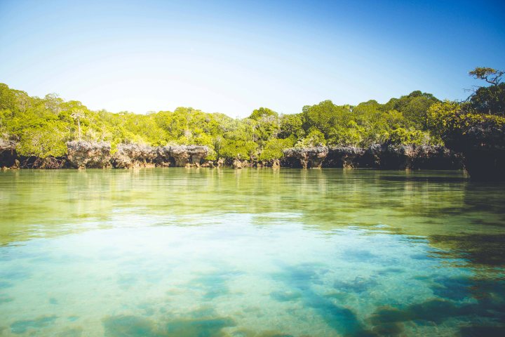 Zanzibar- (145 von 165)