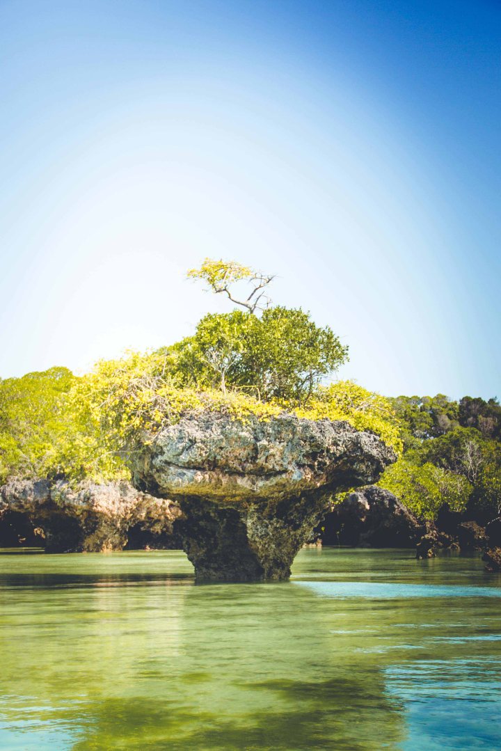 Zanzibar- (146 von 165)