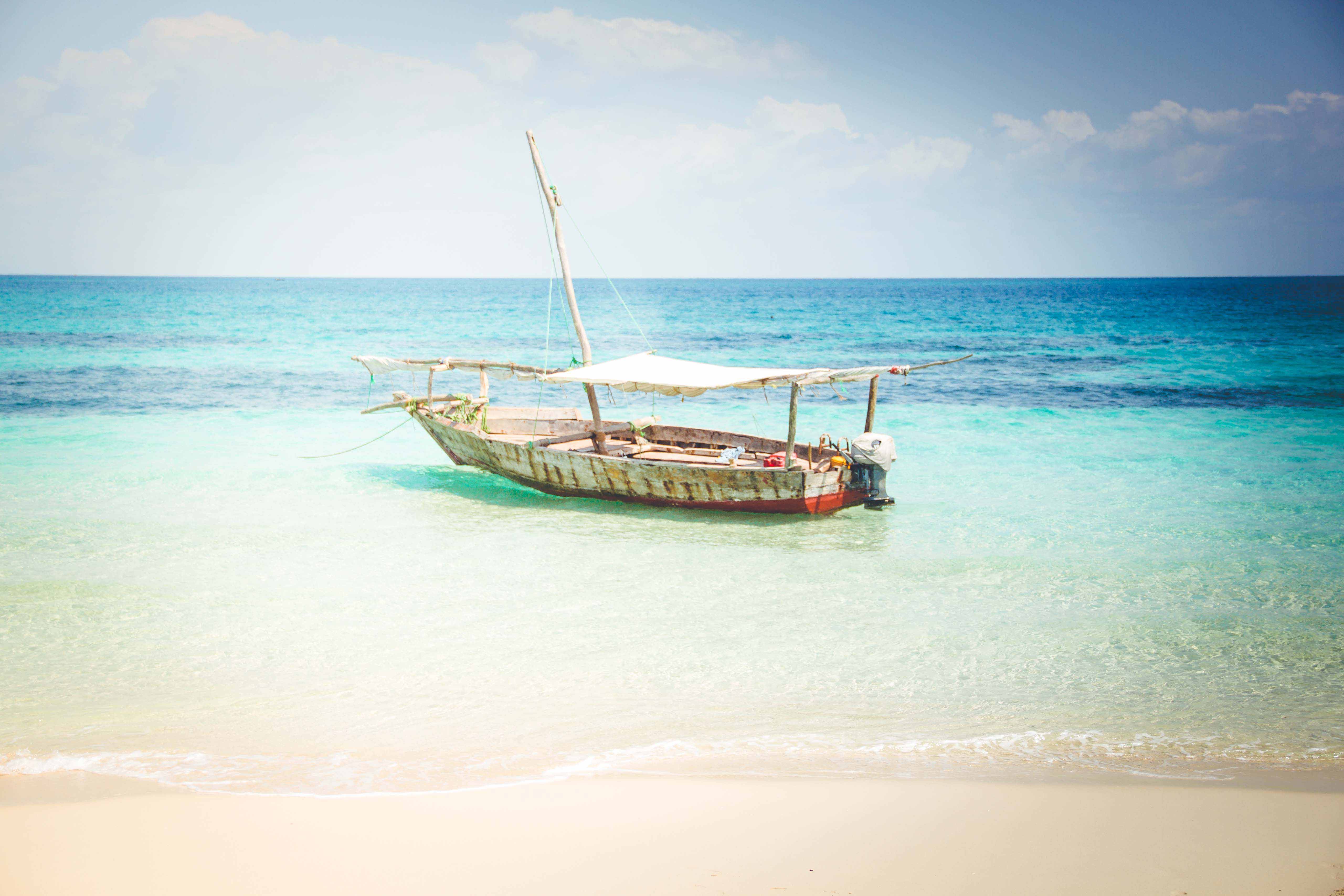 Zanzibar- (147 von 165)