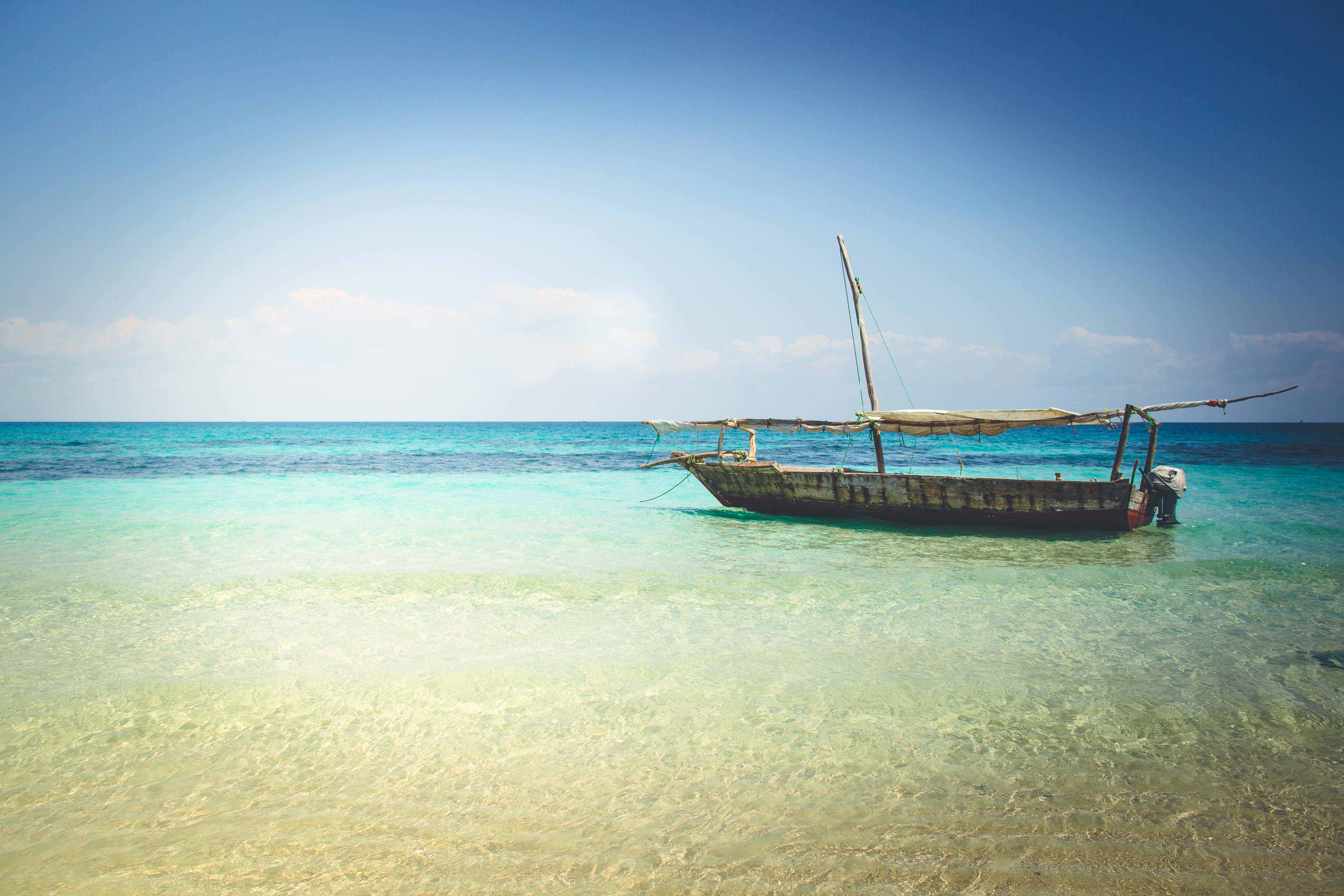 Zanzibar- (148 von 165)