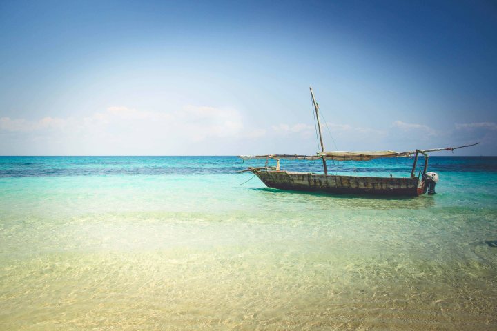 Zanzibar- (148 von 165)