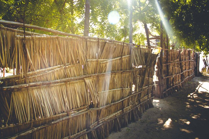 Zanzibar- (151 von 165)