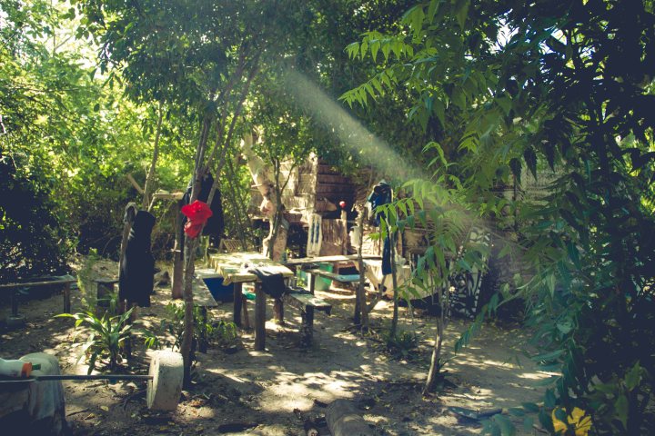 Zanzibar- (152 von 165)