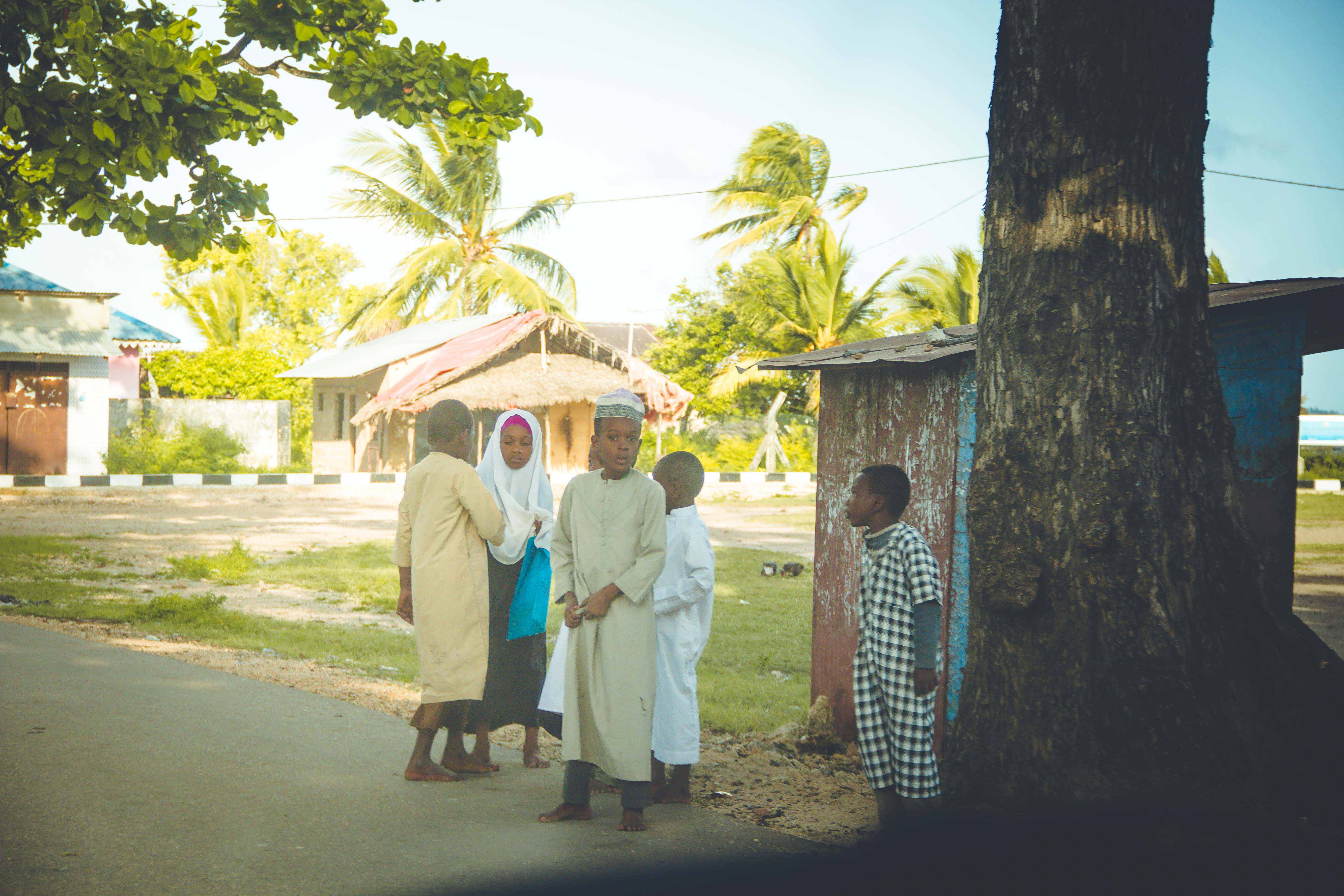 Zanzibar- (17 von 165)