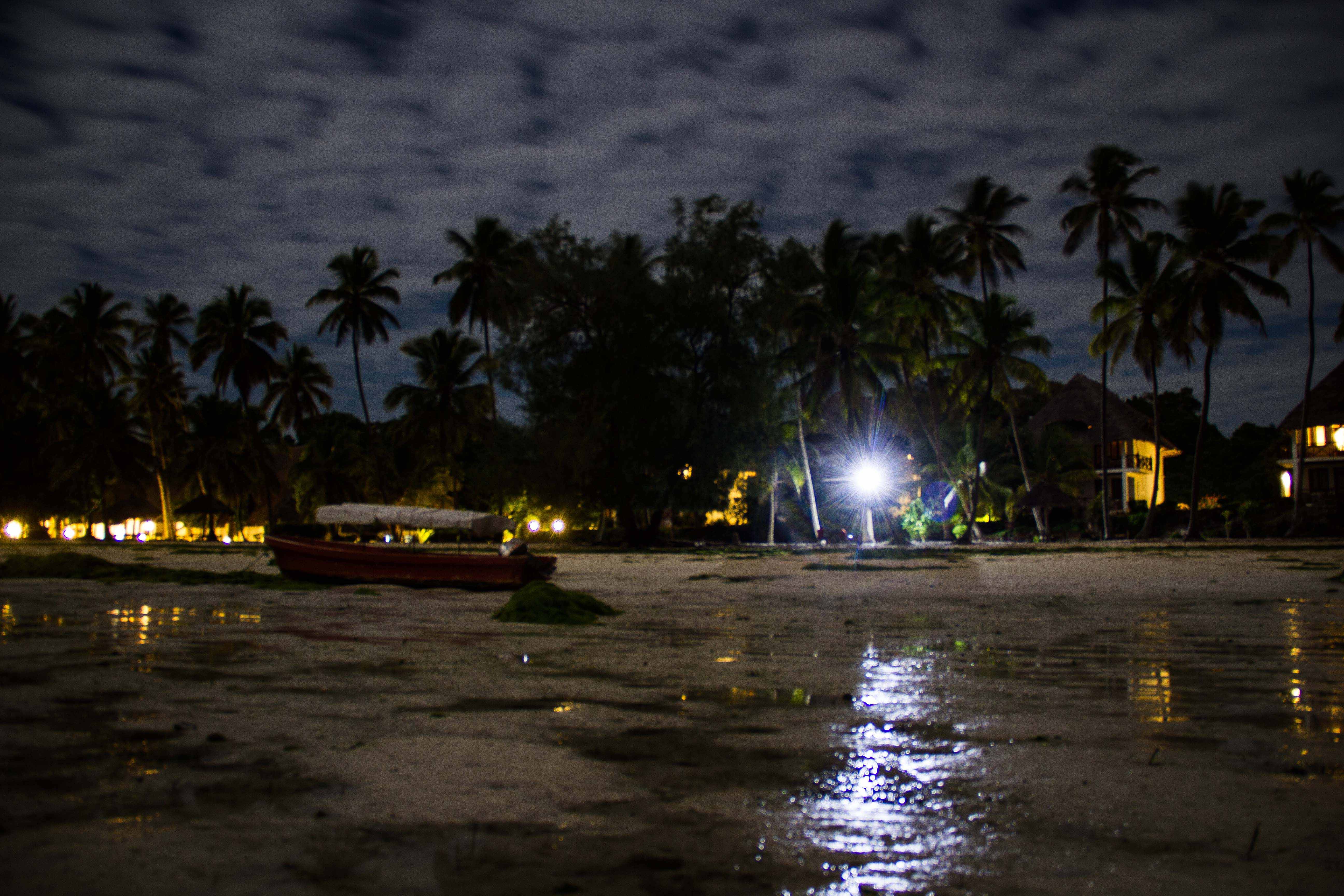 Zanzibar- (19 von 165)