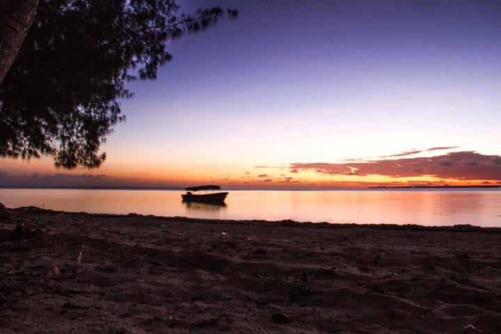 Zanzibar- (35 von 165)