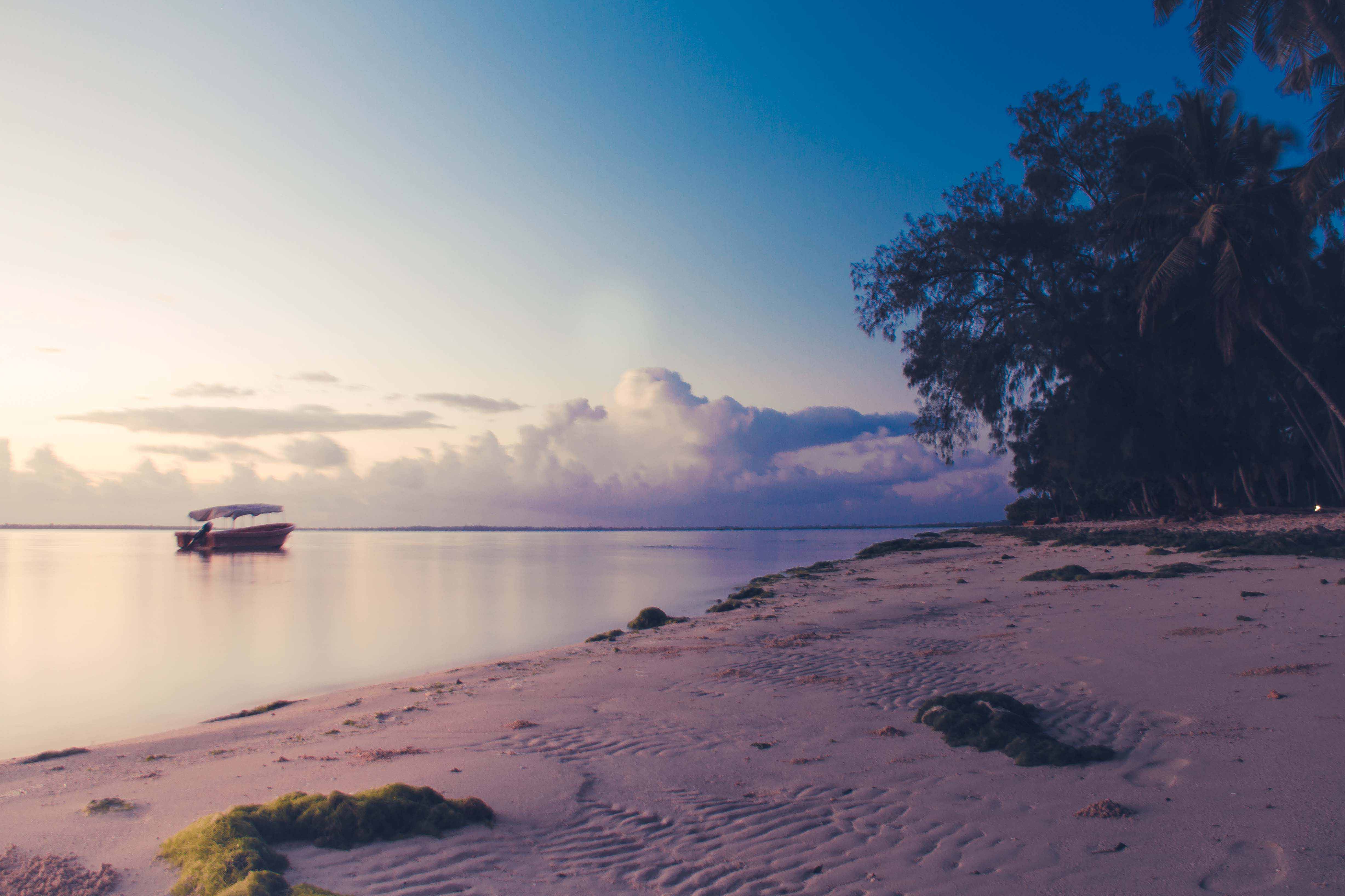 Zanzibar- (36 von 165)