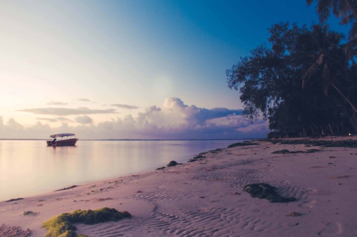 Zanzibar- (36 von 165)