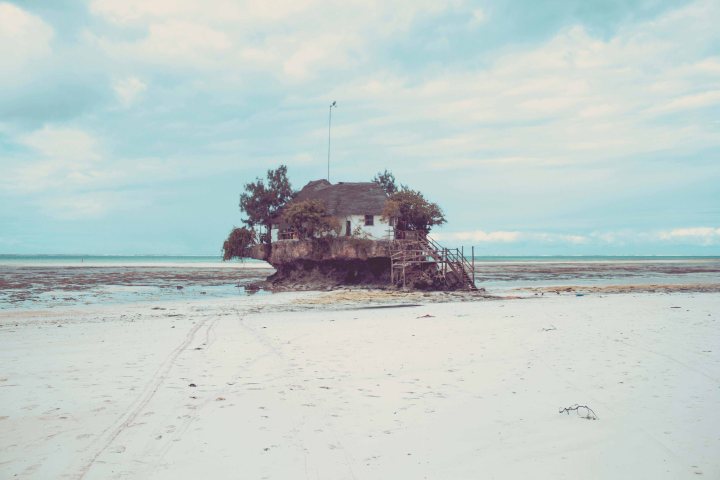 Zanzibar- (38 von 165)