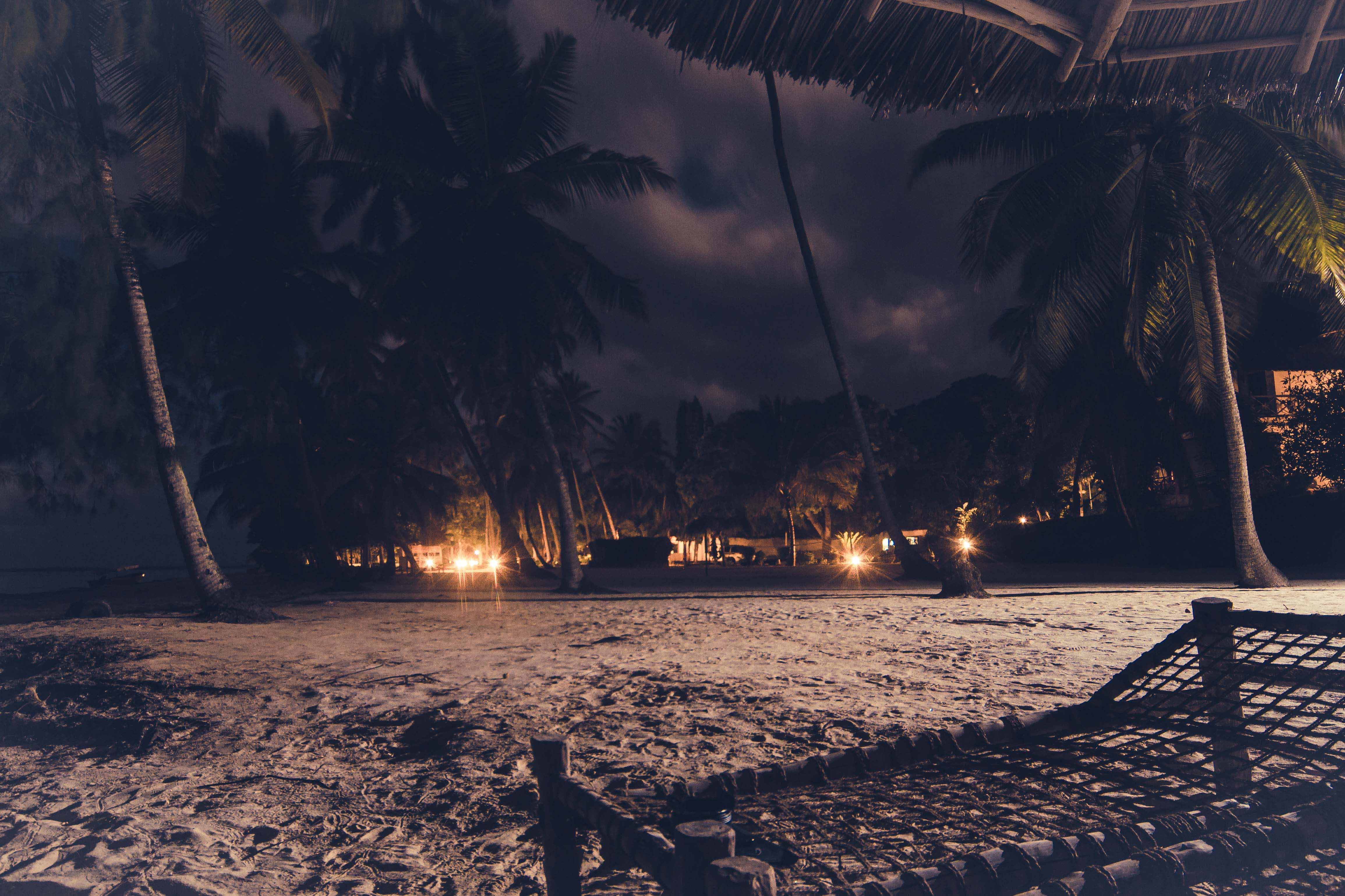 Zanzibar- (74 von 165)