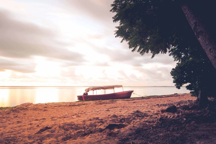 Zanzibar- (76 von 165)