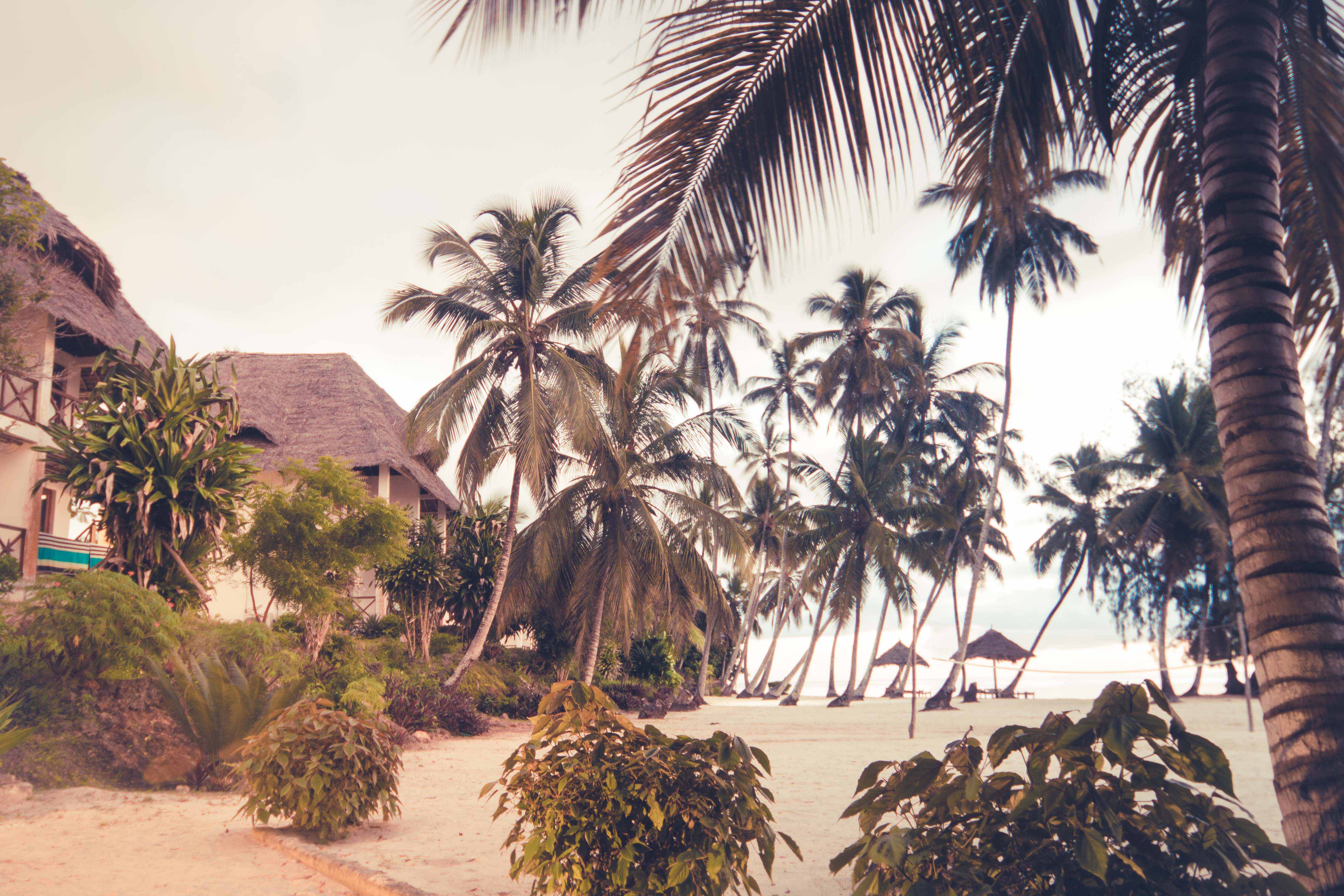 Zanzibar- (77 von 165)