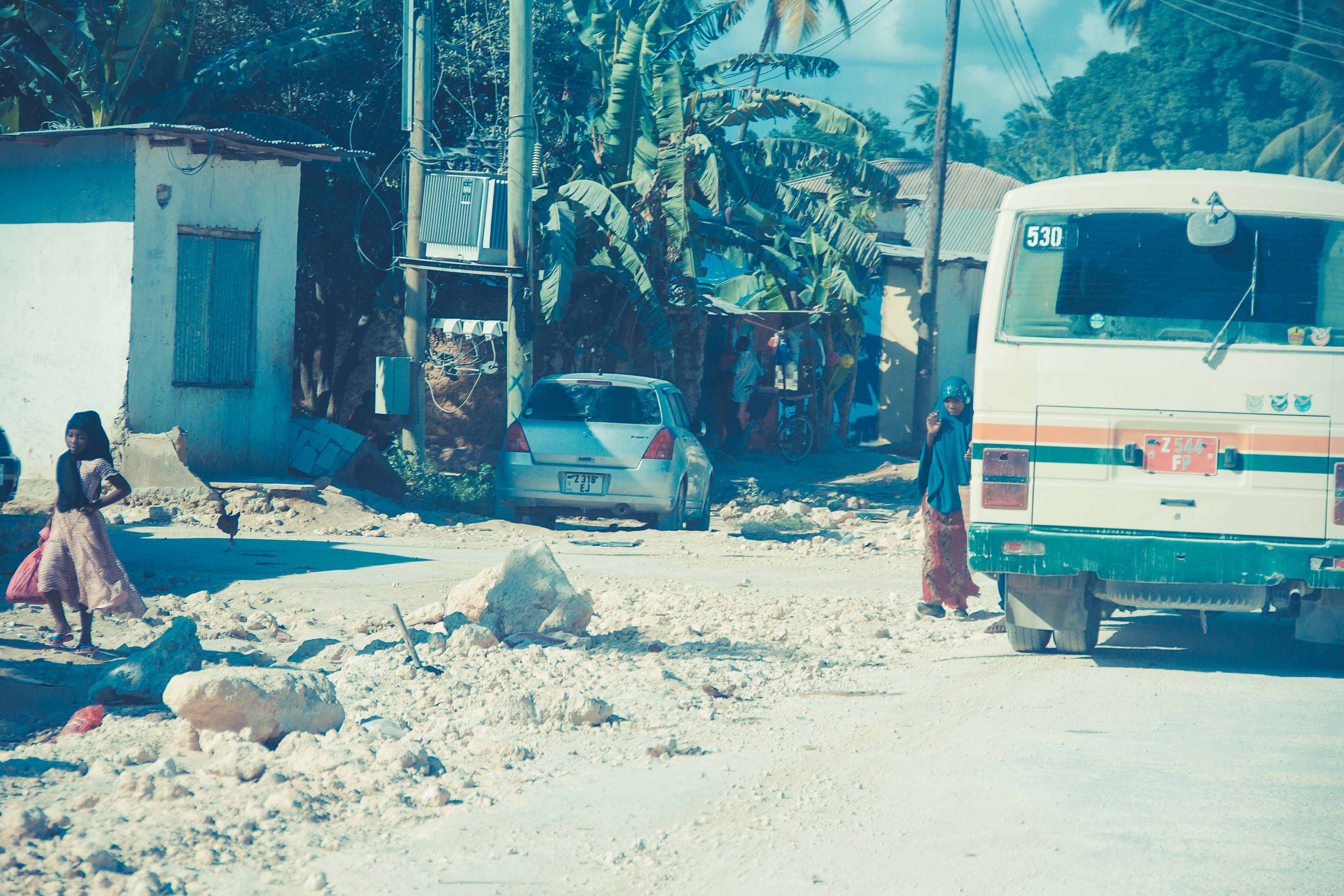 Zanzibar- (9 von 165)