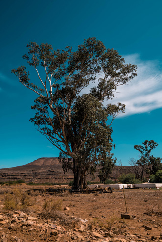 2018-02-17-18_Cederberg-72