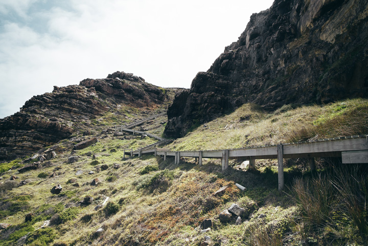 2019-02-16_CT-CapeOfGoodHope-19